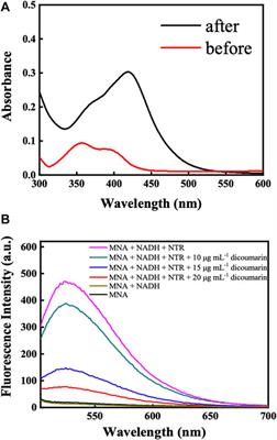 An acridone-derived fluorescent off-on probe for detection and in vivo imaging of nitroreductase